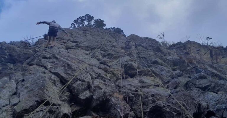 Freiburg: Climbing Course in the Black Forest