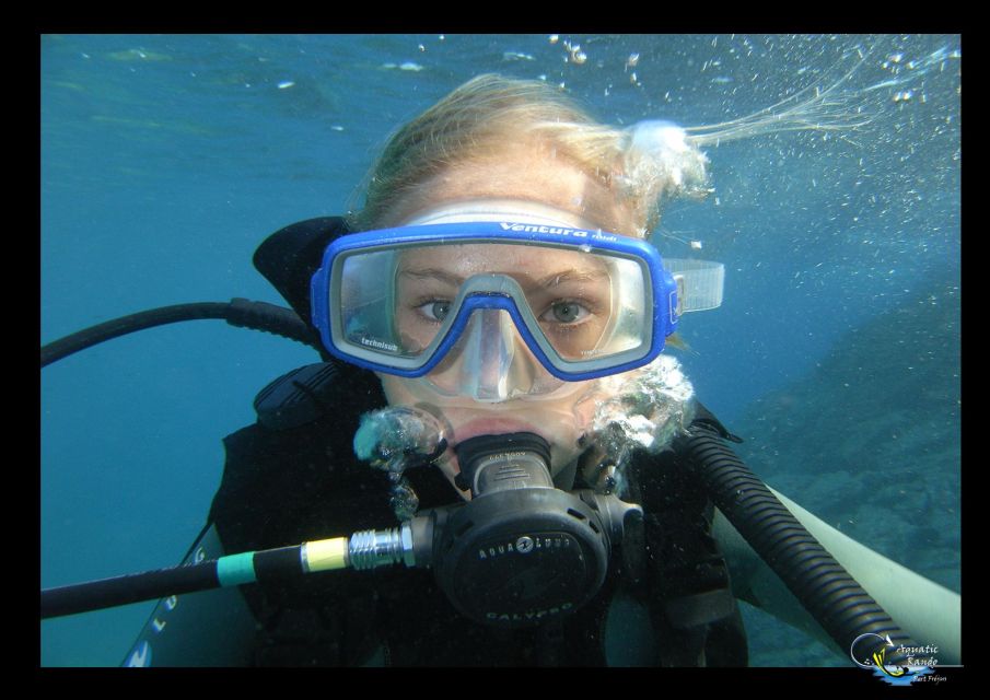 Fréjus: Diving Experience in Port-Fréjus With an Instructor - Overview of the Diving Experience