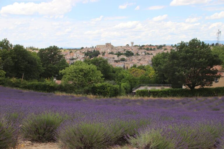 From Aix-En-Provence: Lavender Experience & Gorges Du Verdon