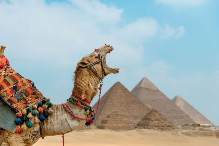 From Alexandria: 2-Day Giza and Cairo Private Guided Tour