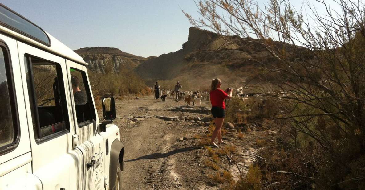 From Almeria: Tabernas Desert 4WD Joyriding Tour - Tour Overview