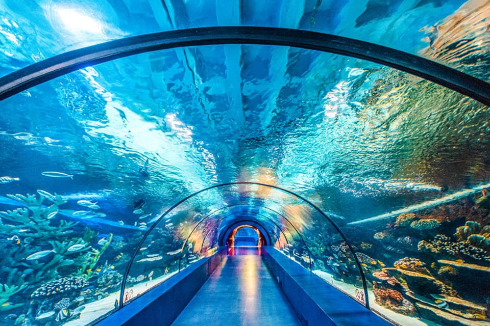 From Antalya All Region: Antalya Aquarium With Transfer - Tour Overview and Pricing