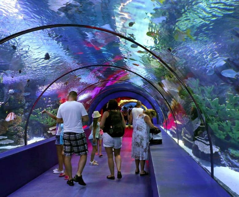 From Antalya/Side/Alanya: Antalya Aquarium Transfer Service - Overview and Pricing