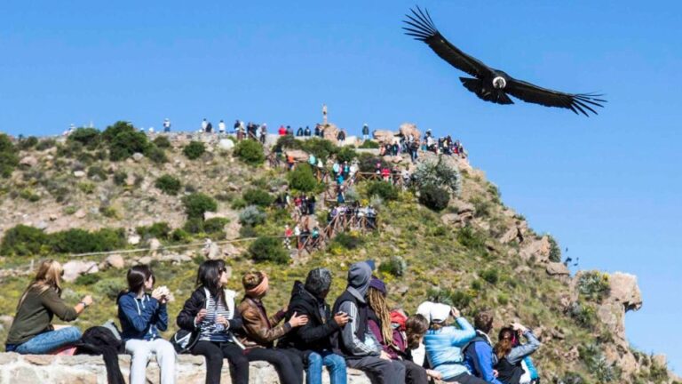 From Arequipa: Full Day Colca Canyon Tour