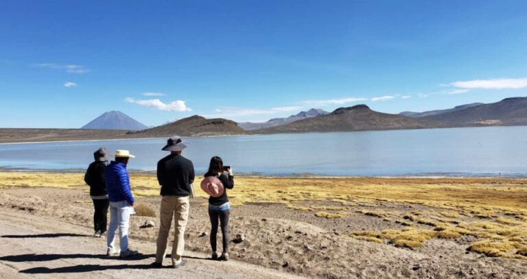 From Arequipa|| Full Day Salinas Lagoon Excursion