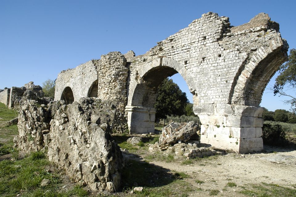 From Arles: Alpilles Regional Park Provence 4x4 Safari - Tour Overview