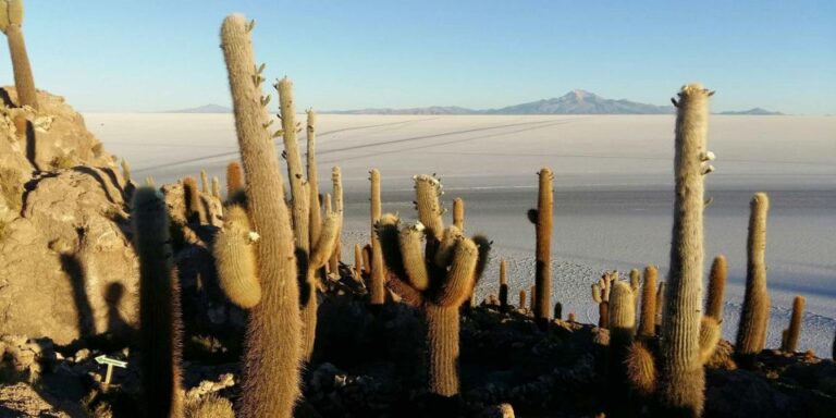 From Atacama | Private Service – Uyuni Salt Flat – 3 Days