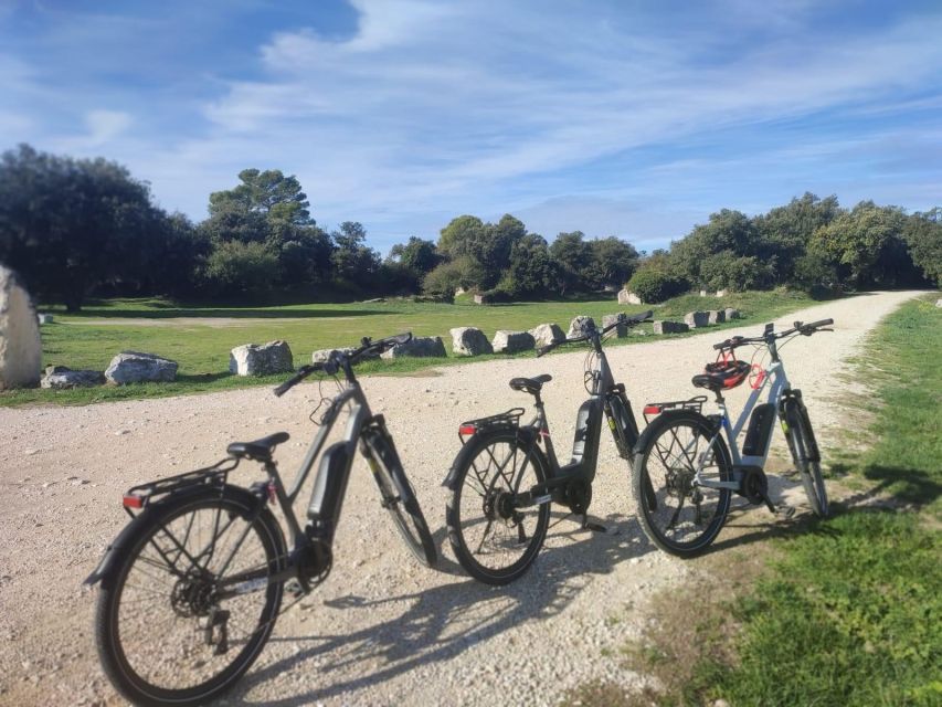 From Avignon: Full-Day E-Bike Tour in the Luberon Region - Tour Overview and Pricing