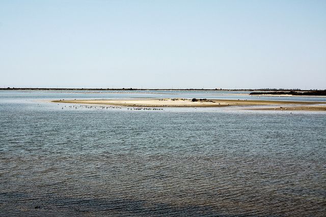 From Avignon: Half-Day Camargue and Saintes-Maries-de-la-Mer - Tour Overview