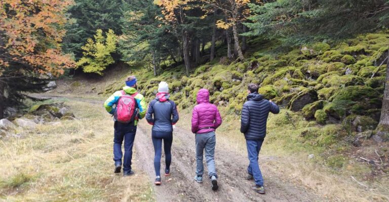 From Barcelona: Small-Group Pyrenees Hike & Medieval Village