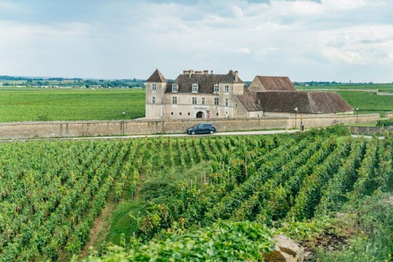 From Beaune: Burgundy Day Trip With 12 Wine Tastings