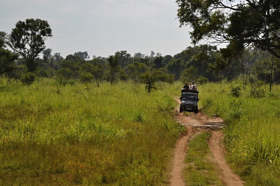 From Bentota: Elephant Transit Camp and Udawalawe Safari - Tour Overview