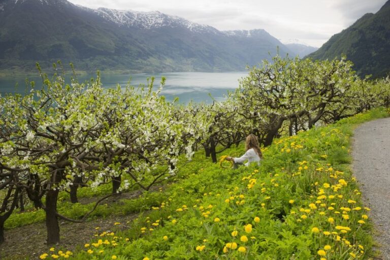 From Bergen: Private Trip to Hardangerfjord