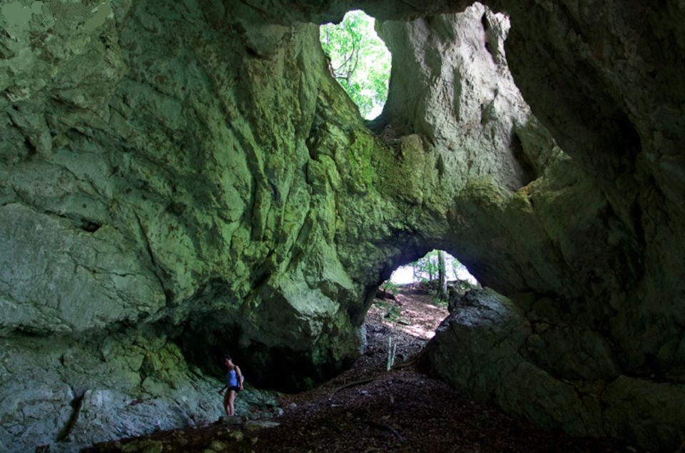 From Bled: Half-Day Pokljuka Gorge Trail Hike - Activity Overview