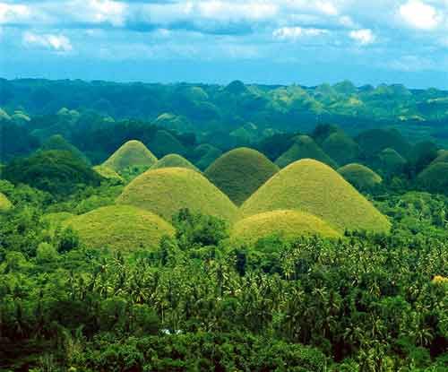 From Bohol: Full-Day Countryside Tour - Included Services