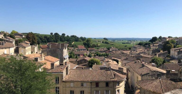 From Bordeaux: Half-Day Saint-Emilion Wine Tour