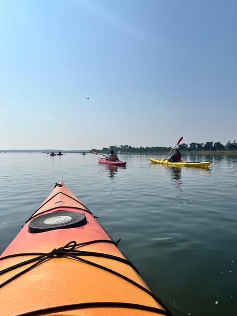 From Boston: Kayak Castle Neck River at Crane Estate - Activity Overview