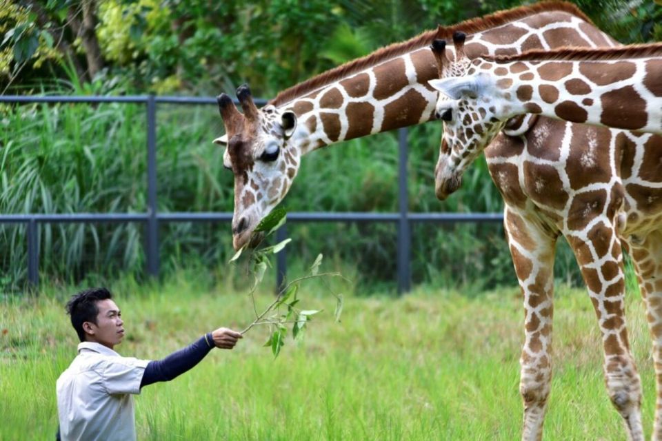 From Cebu City: Cebu Safari and Adventure Park Day Tour - Tour Overview and Pricing