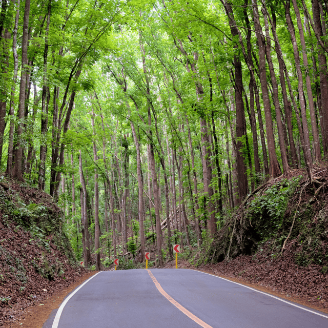 From Cebu:Chocolate Hills & Tarsier W Lunch at Loboc Joiners - Blood Compact Shrine