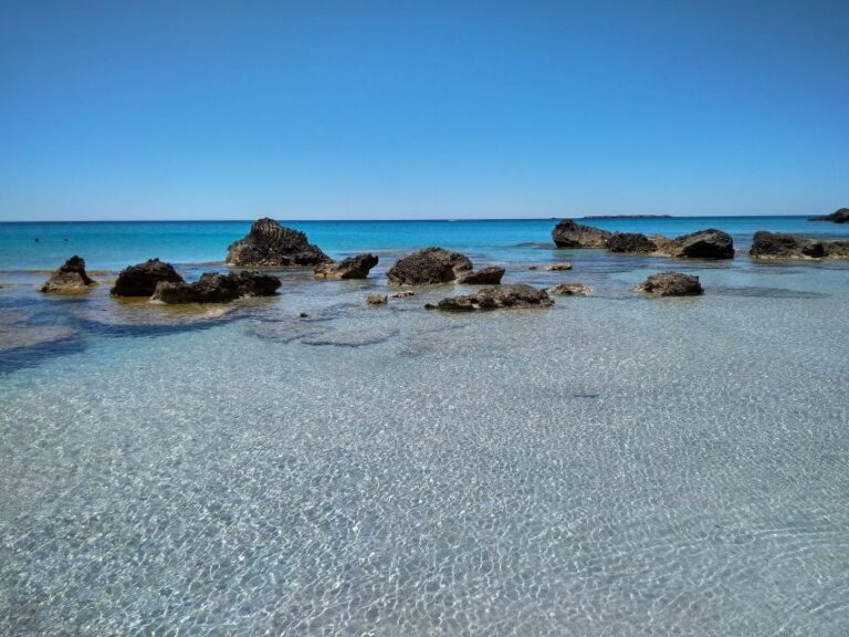 From Chania: Falassarna Beach, Wine & Olive Oil Private Tour