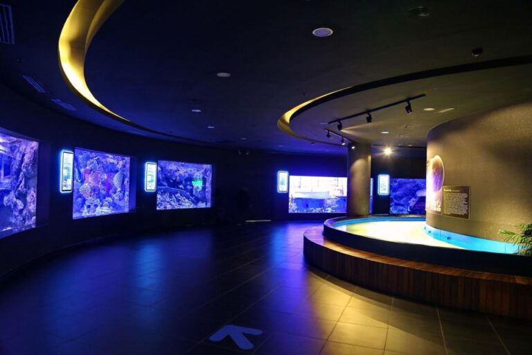 From City of Side: Antalya Aquarium Full-Day Trip