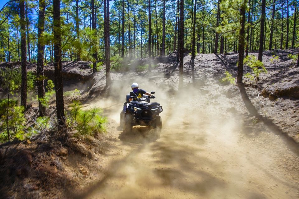 From Costa Adeje: Mount Teide Forest Off-Road Quad Bike Tour - Tour Overview and Details