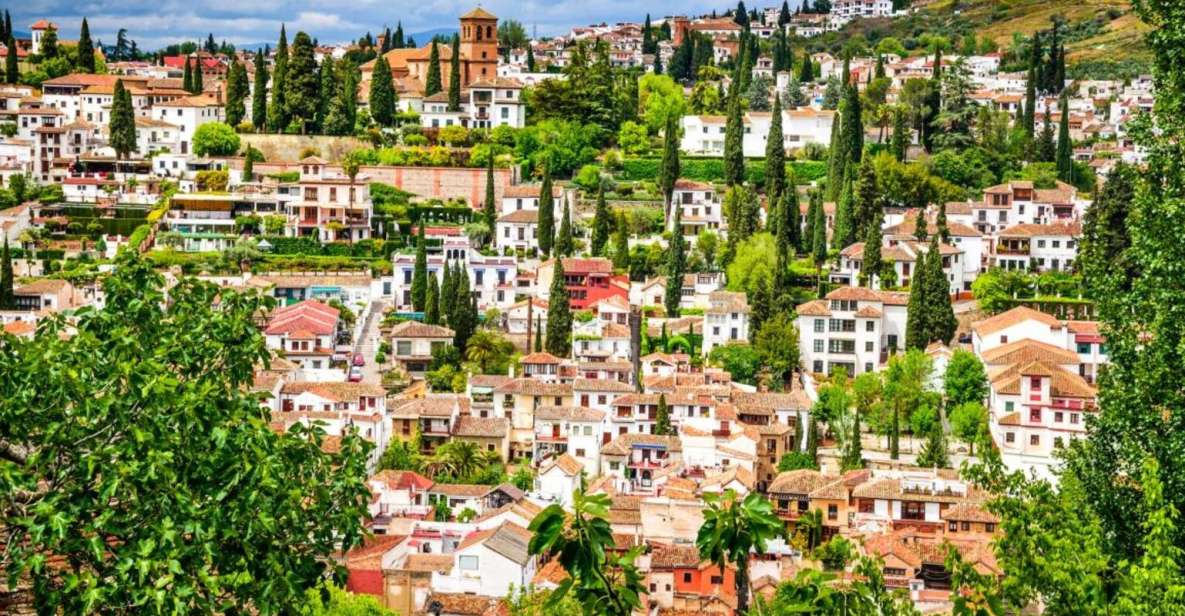 From Costa Del Sol: Granada Day Trip Free Time 5h - Trip Overview and Details