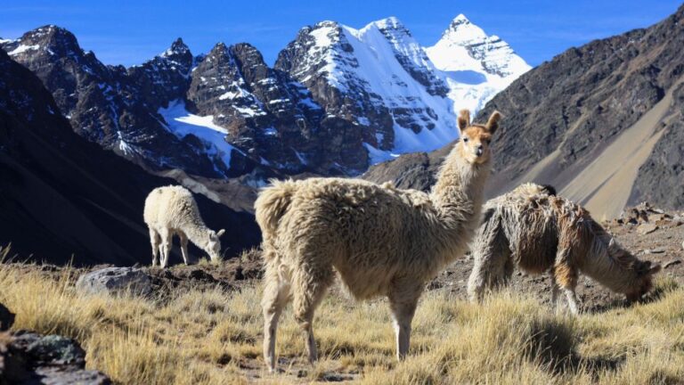 From Cusco: Rainbow Mountain Trek