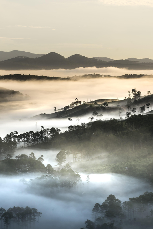 From Dalat: Sunrise Tour - Hike Over Misty Valley - Sunrise at Cau Dats Bridge