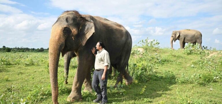 From Delhi: 3 Day Golden Triangle W/ Elephant Conservation