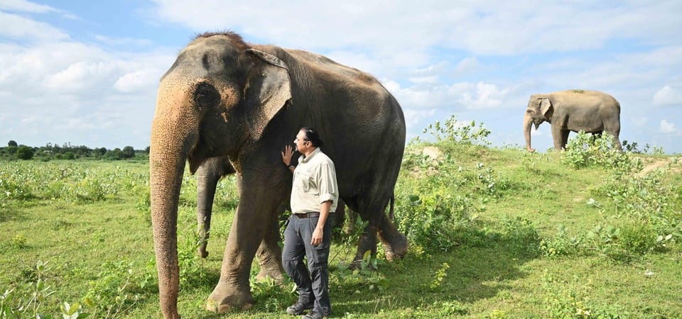 From Delhi: 3 Day Golden Triangle W/ Elephant Conservation - Tour Overview and Pricing