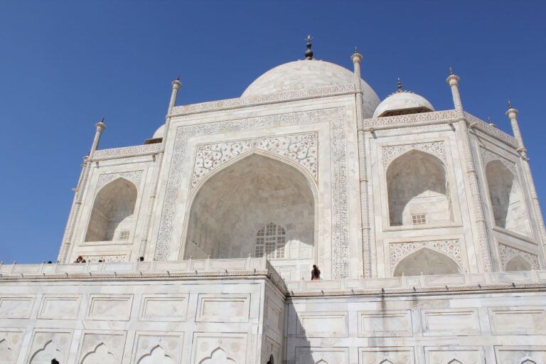 From Delhi: Taj Mahal and Agra Fort Private Sunrise Tour