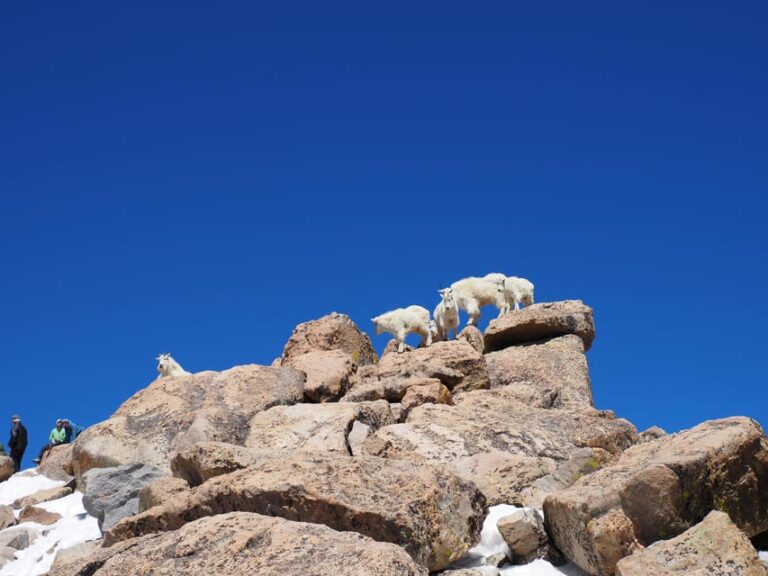 From Denver: Trip to Mount Blue Sky Summit and Glacial Lake