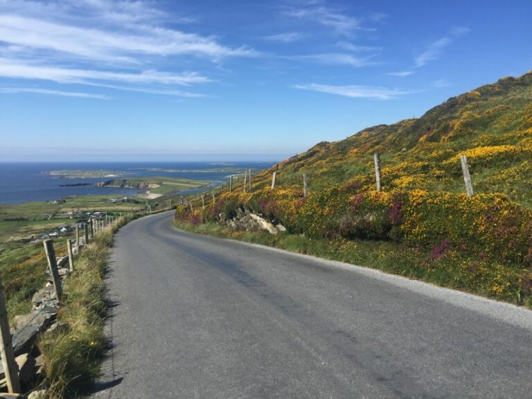 From Dublin: Connemara and Galway Bay Day Tour