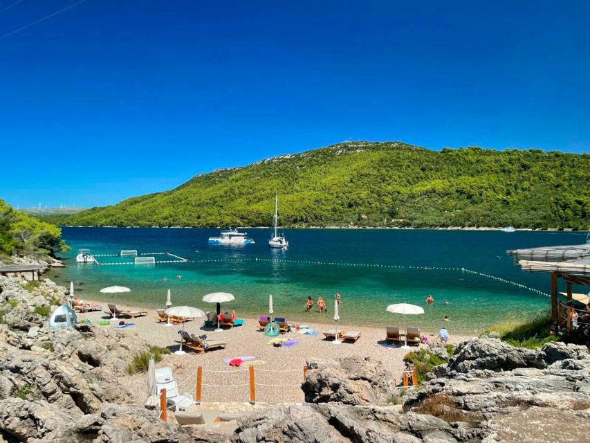 From Dubrovnik: Mljet National Park & Elaphiti Islands Trip - Trip Overview and Pricing