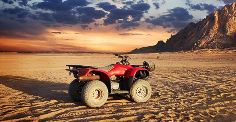 From EL Gouna: Quad Safari, Bedouin Village, & Camel Ride