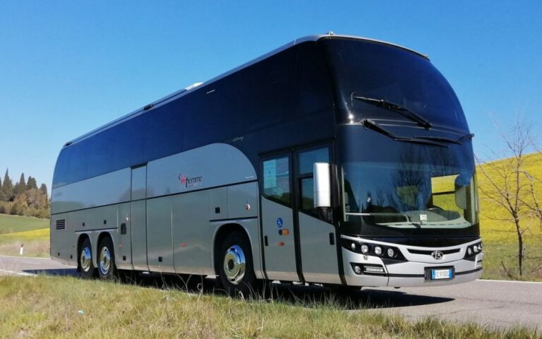 From Fiumicino Airport: 1-Way Bus Transfer to Paganico