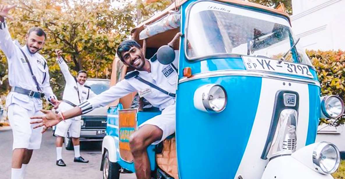 From Galle: Morning or Evening Beach Safari by TukTuk - Activity Overview