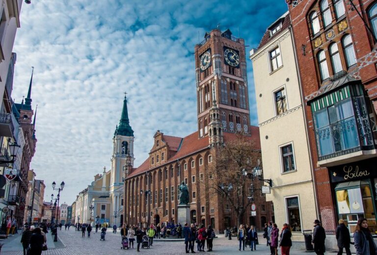 From Gdansk: Private Torun Van and Walking Tour