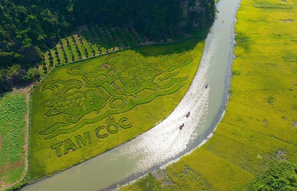 From Ha Noi: Ninh Binh Hoa Lu Trang An Day Tour - Overview of the Day Tour