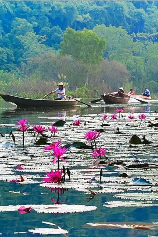 From Ha Noi: Perfume Pagoda – A Pagoda In Deep In A Cave - Overview of the Tour