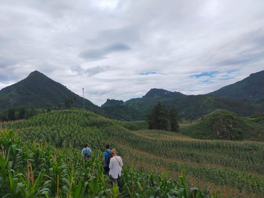 From Hanoi: 2-Day Sapa Trek& Overnight in Cosy Ethnic Family