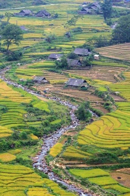 From Hanoi: 2-Days Sapa Trekking Tour Lao Chai and Cat Cat - Tour Overview and Pricing