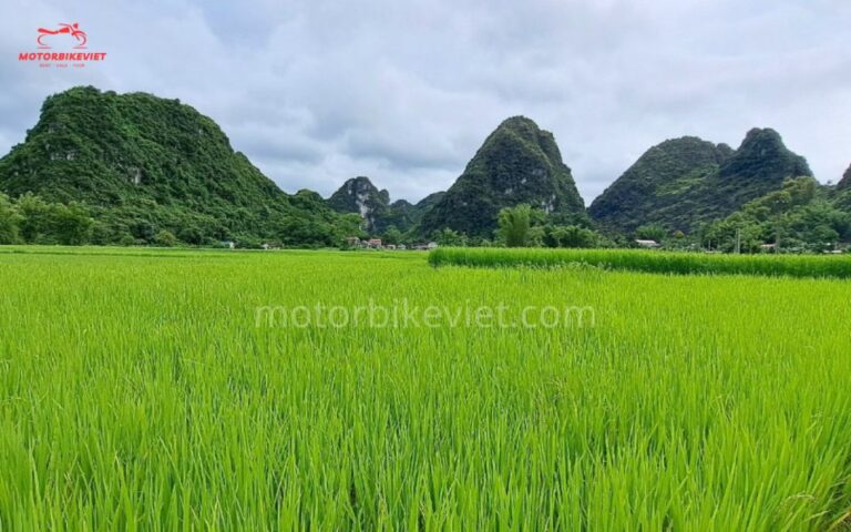 From Hanoi: Caobang Loop 3 Days 2 Nights Motorbike Tour