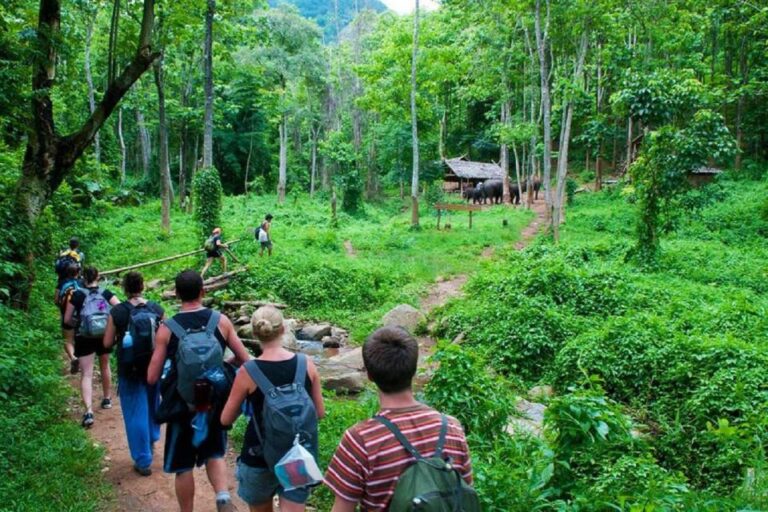 From Hanoi: Cuc Phuong National Park