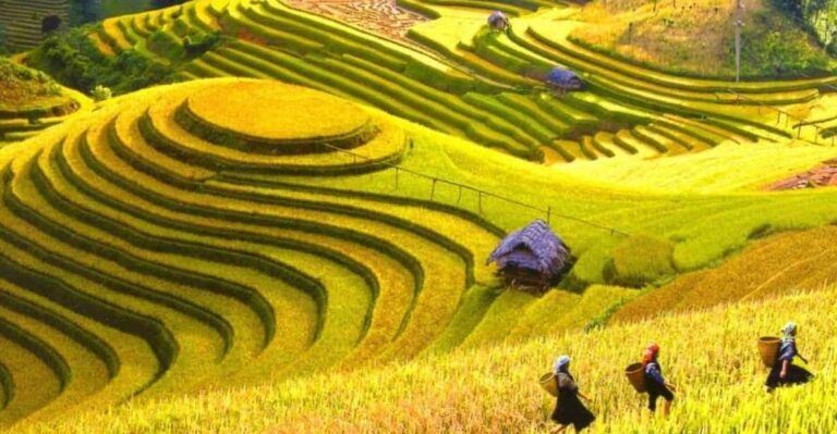 From Hanoi: Explore Sapa In 3 Days 2 Nights