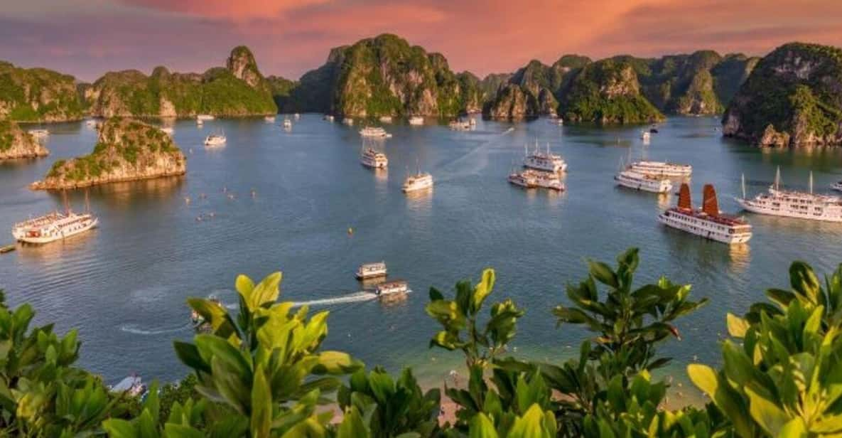 From Hanoi: Halong Bay, Titop Island, Sung Sot & Luon Caves - Destination Overview