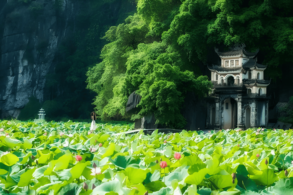 From Hanoi: Hoa Lu / Bai Dinh & Bich Dong & Thung Nham - Architectural Highlights