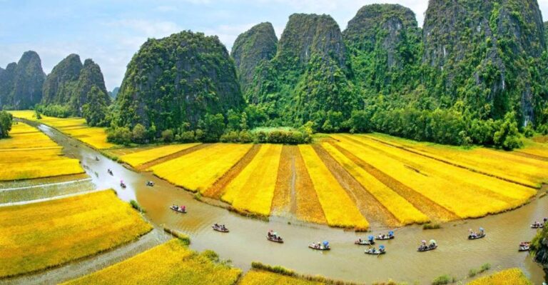 From Hanoi: Hoa Lu – Tam Coc or Trang An – Mua Cave