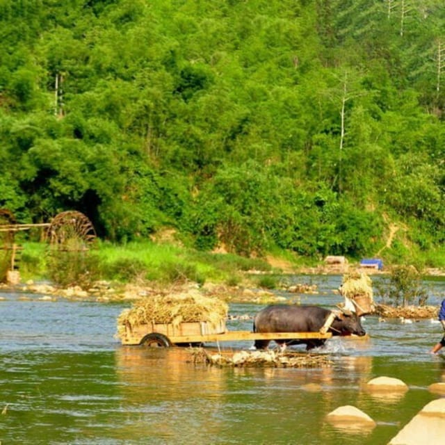 From Hanoi - Pu Luong 2D1N - Offbeat Trekking Tour - Detailed Itinerary